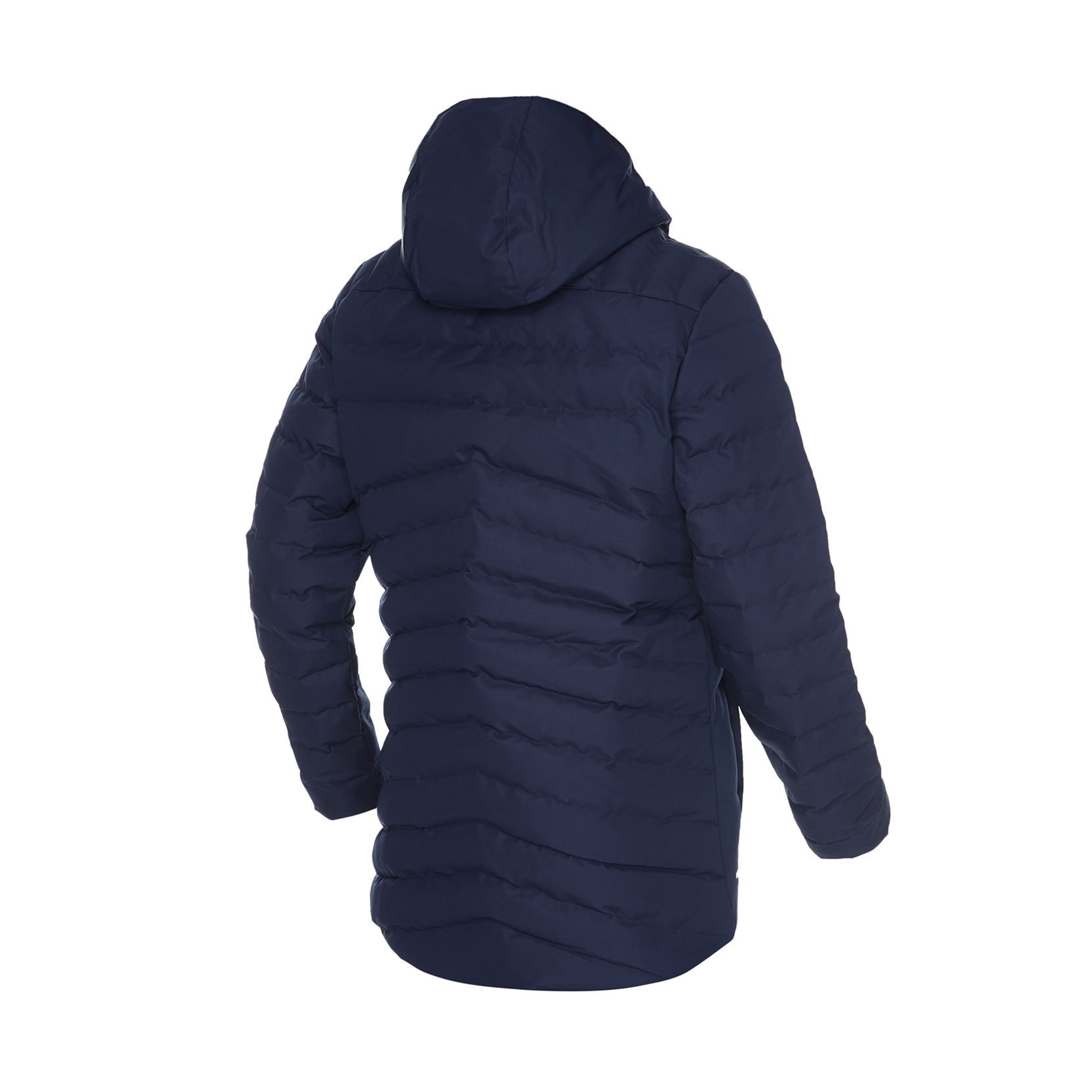 Куртка ФК «Динамо» Київ