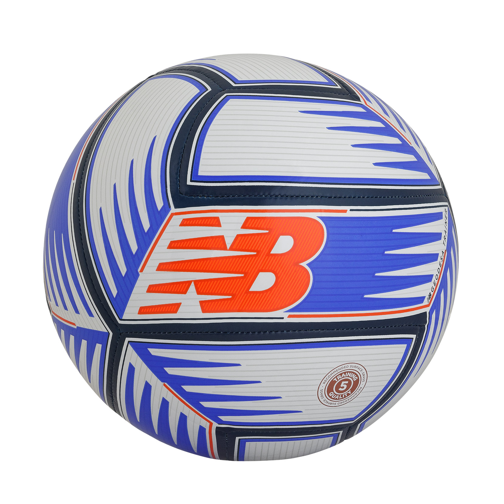 М'яч Geodesa Training