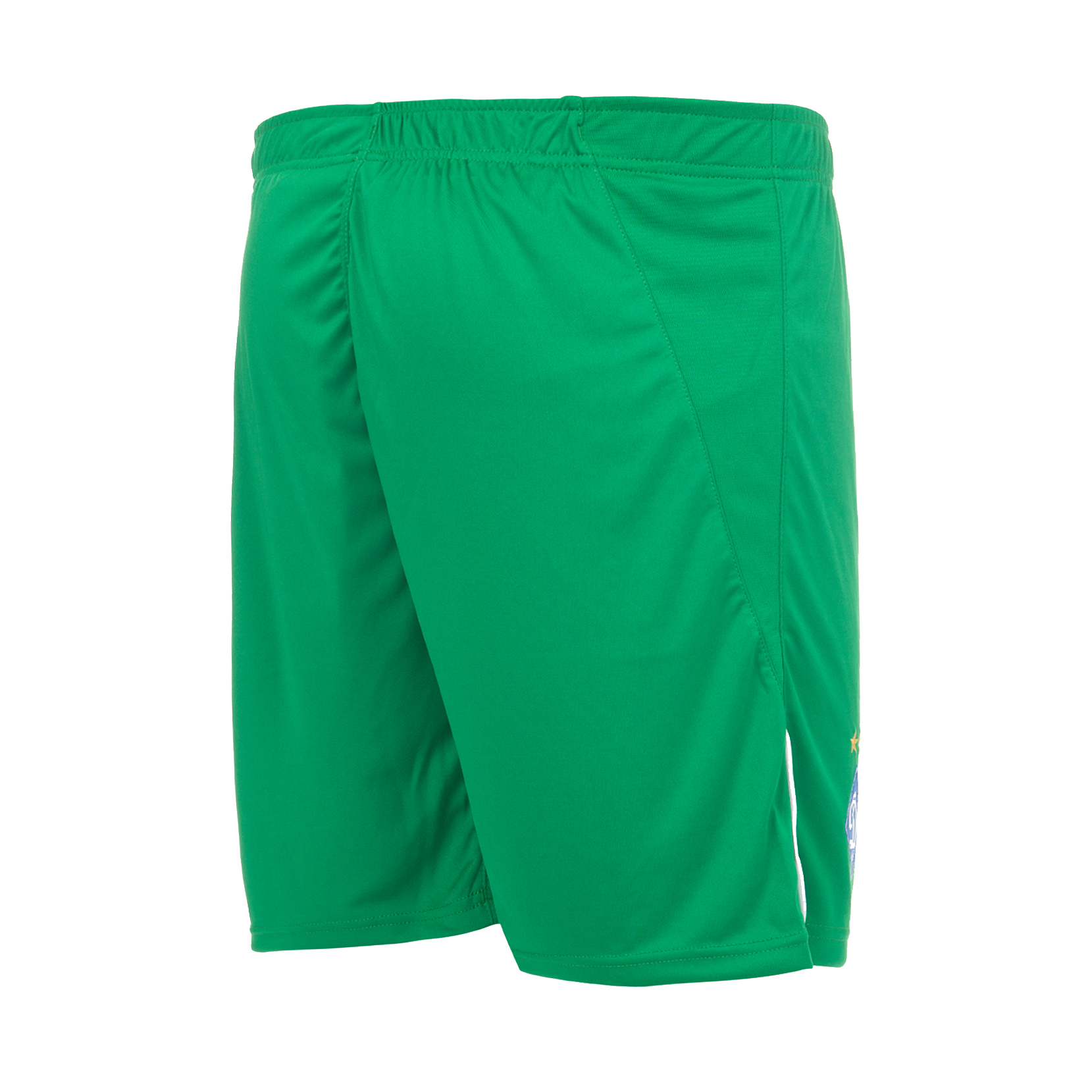 Шорти воротарські ФК «Динамо» Київ