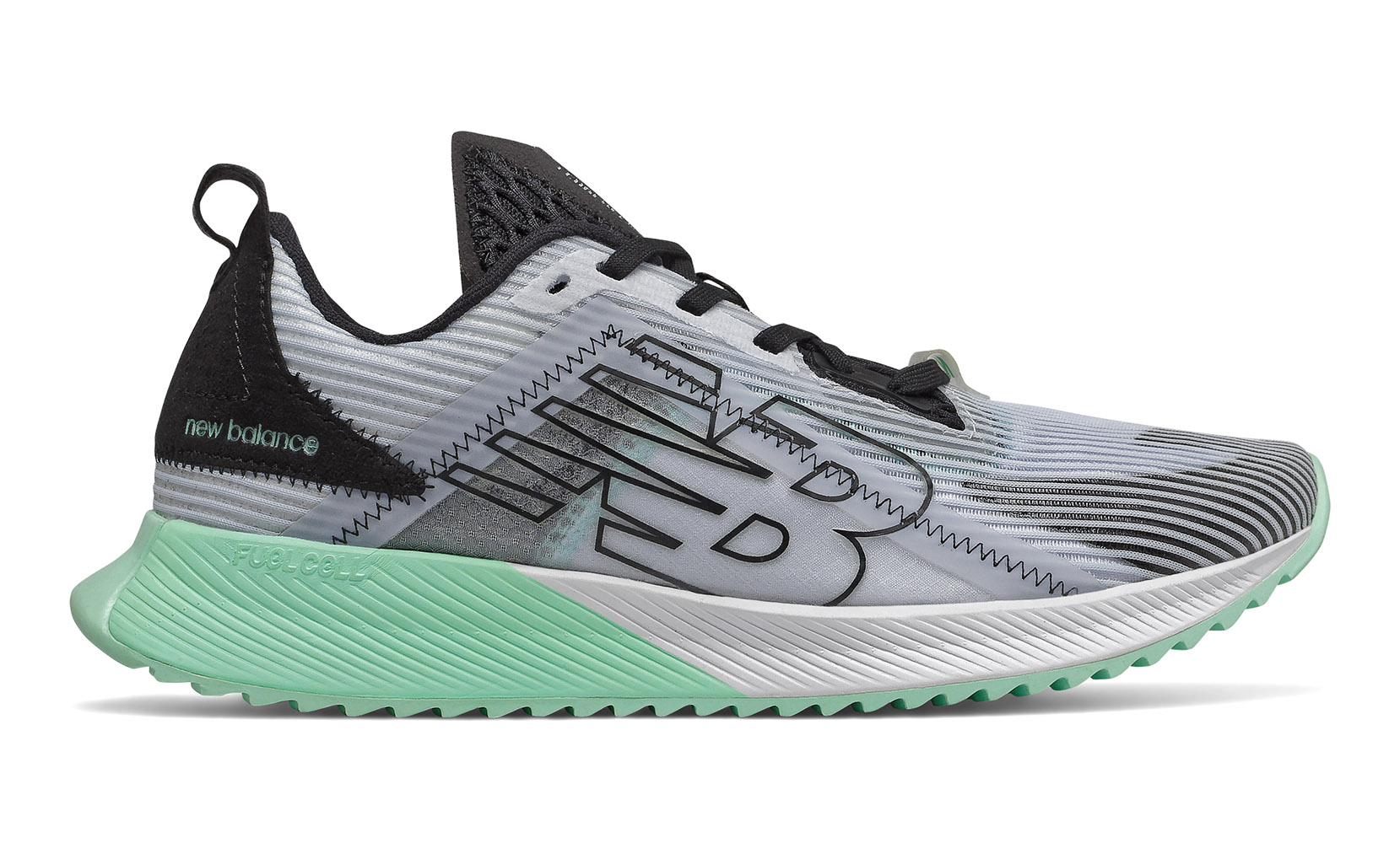 Fuel Cell Echo Echolucent