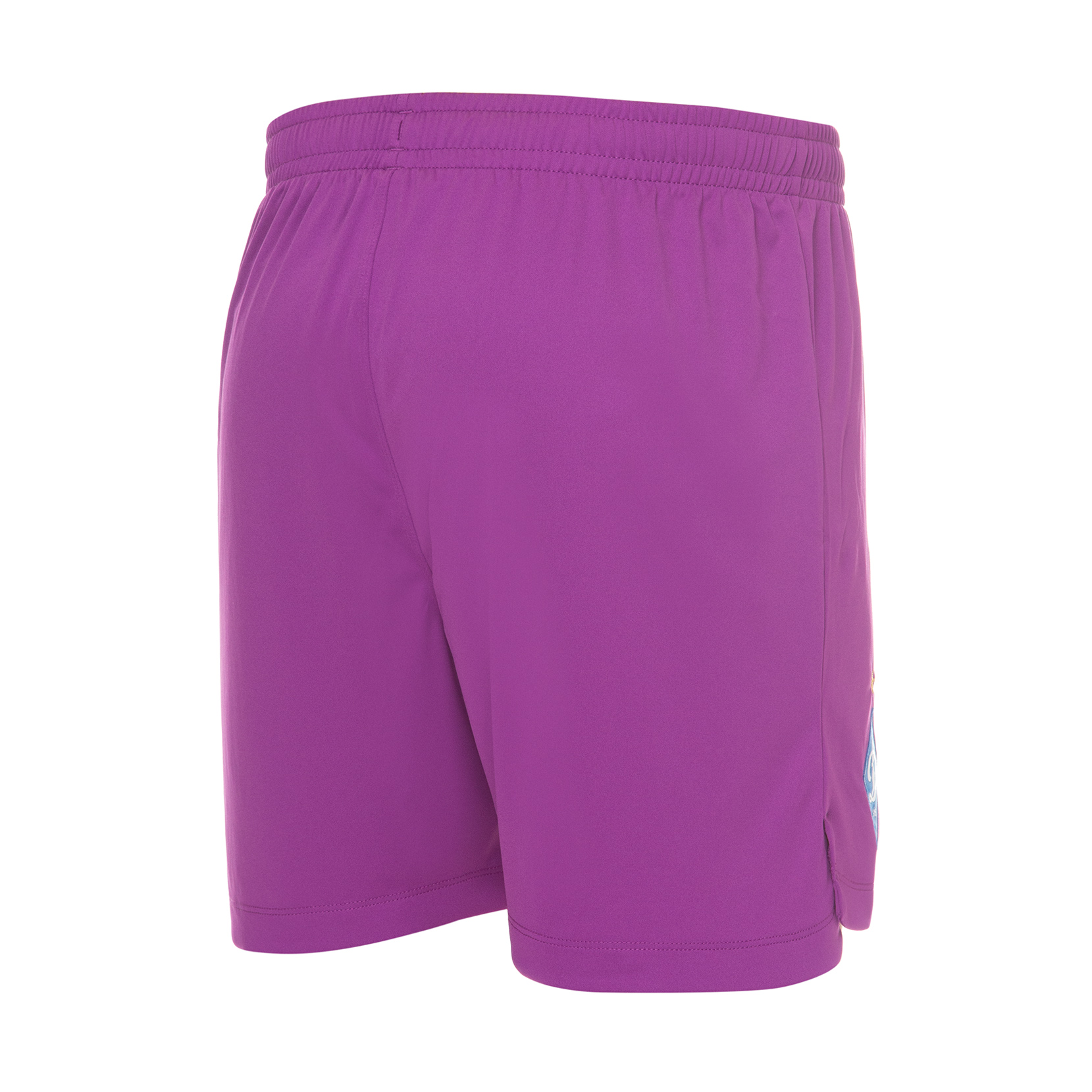 Шорти воротарські ФК «Динамо» Київ