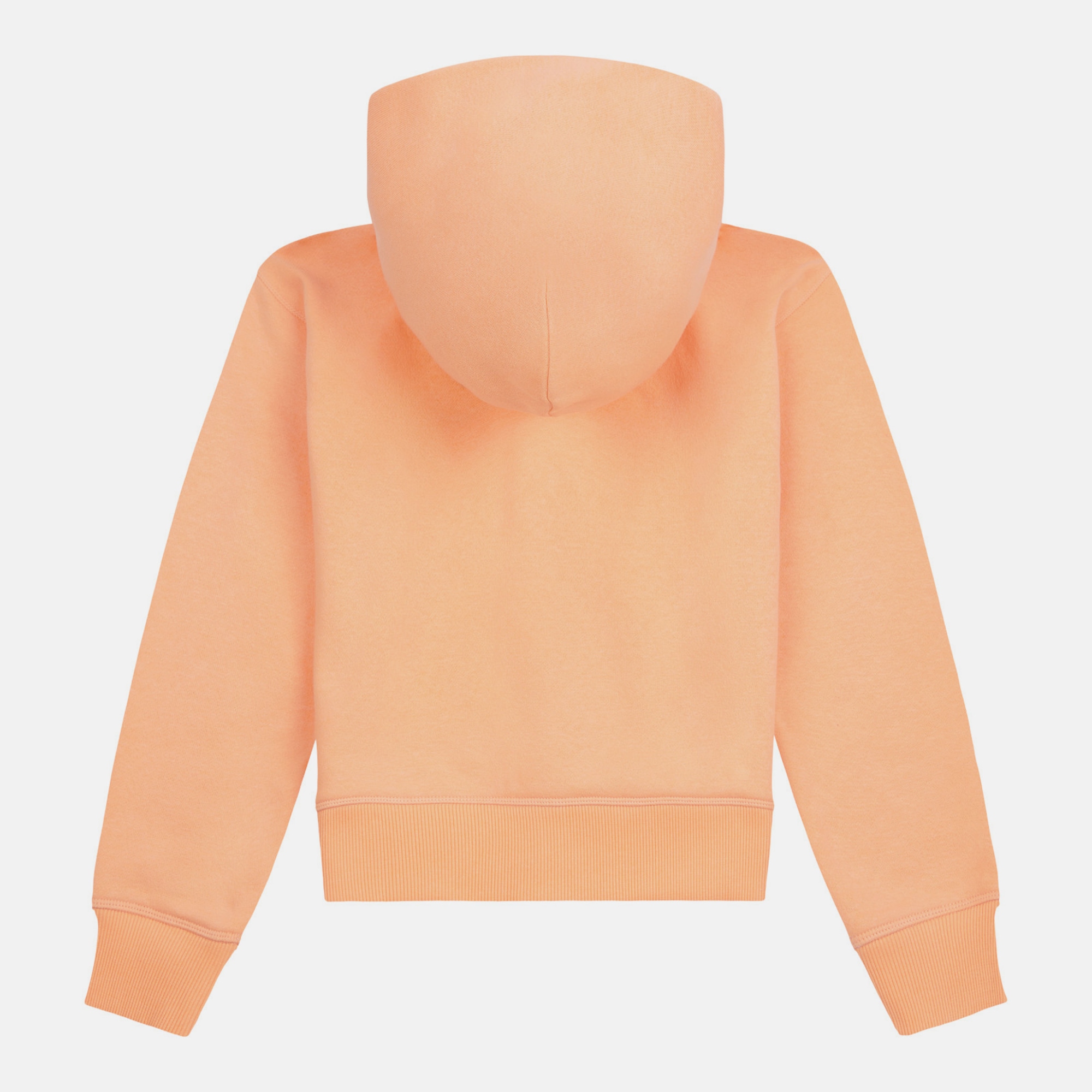 Дитяче худі Brush Back Small Logo Full Zip