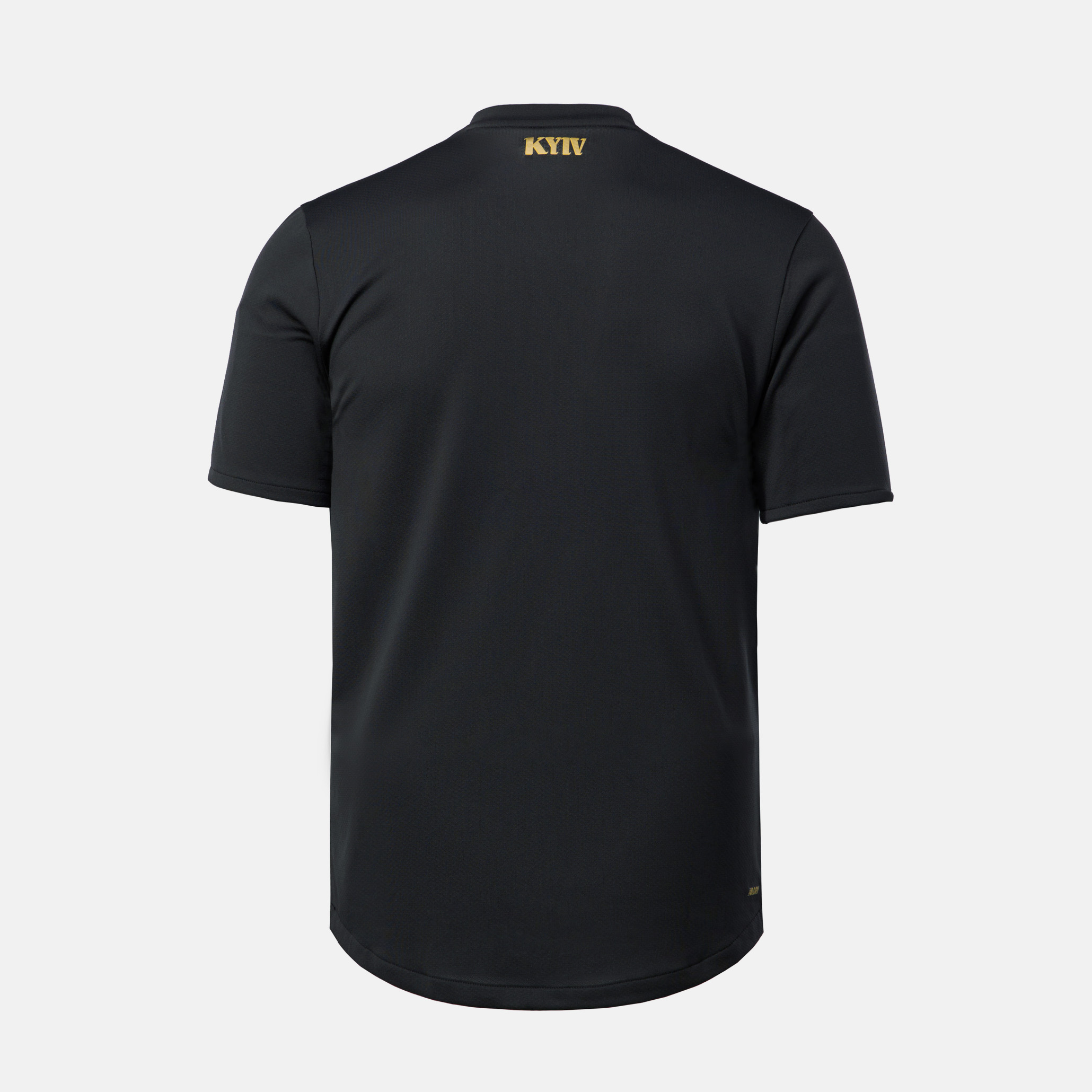 Воротарська футболка ФК «Динамо» Київ Home