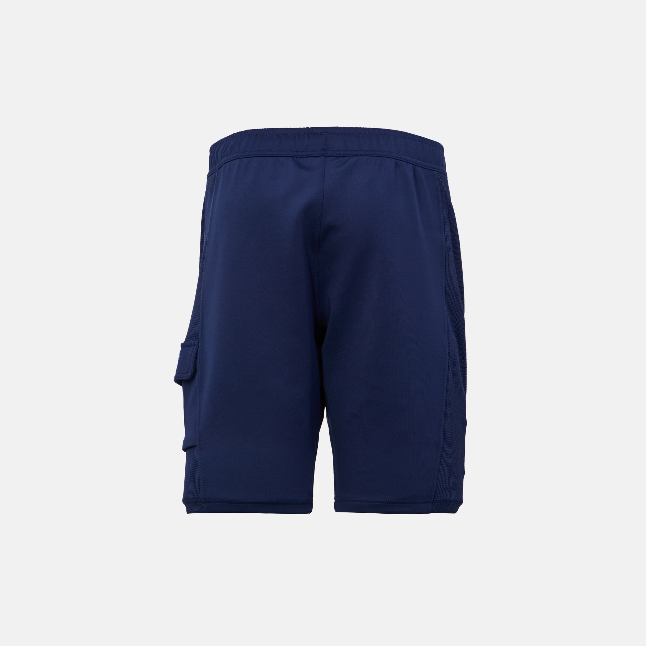 Шорти ФК «Динамо» Київ Travel