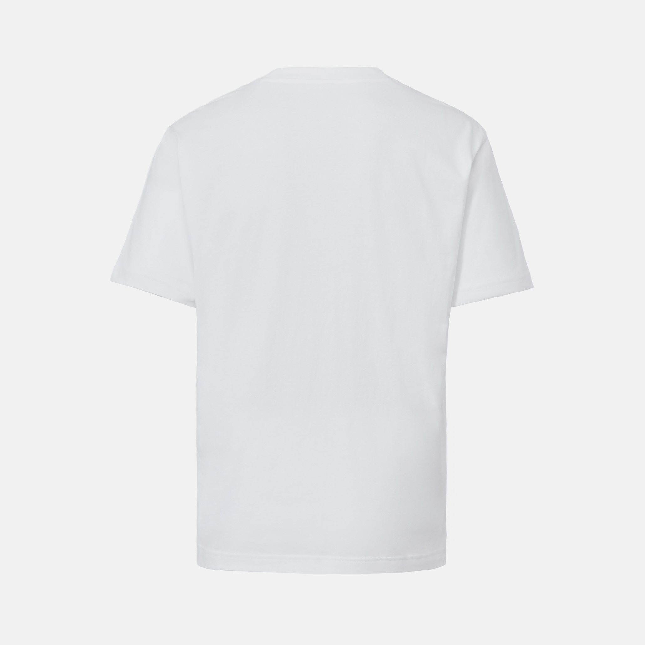 Футболка ФК «Динамо» Small Logo