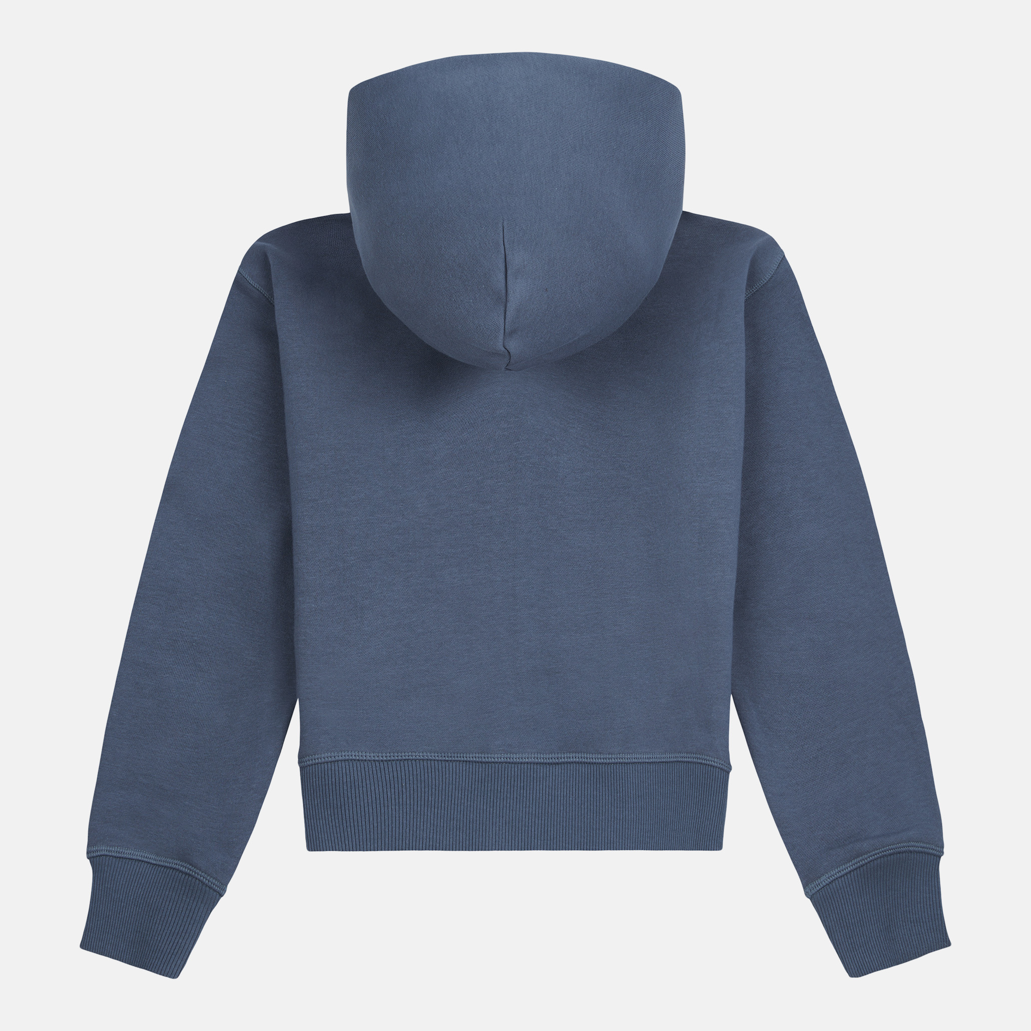 Дівчаче худі Brush Back Small Logo Full Zip