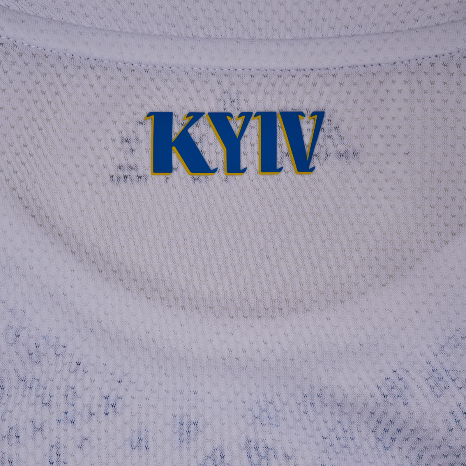 Футболка ФК «Динамо» Київ Pre-Game