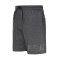 Шорти Heathertech Knit